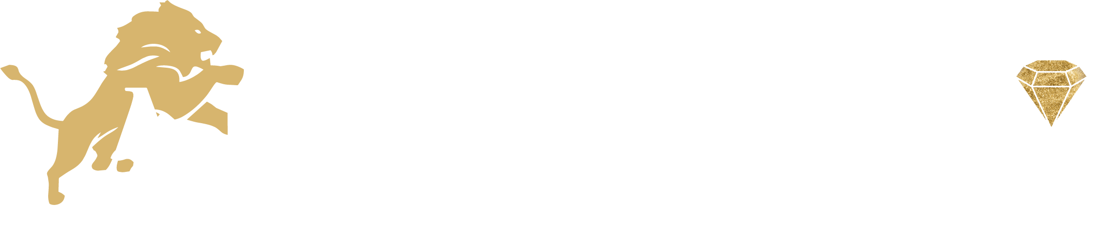 Arslanlar Kuyumculuk